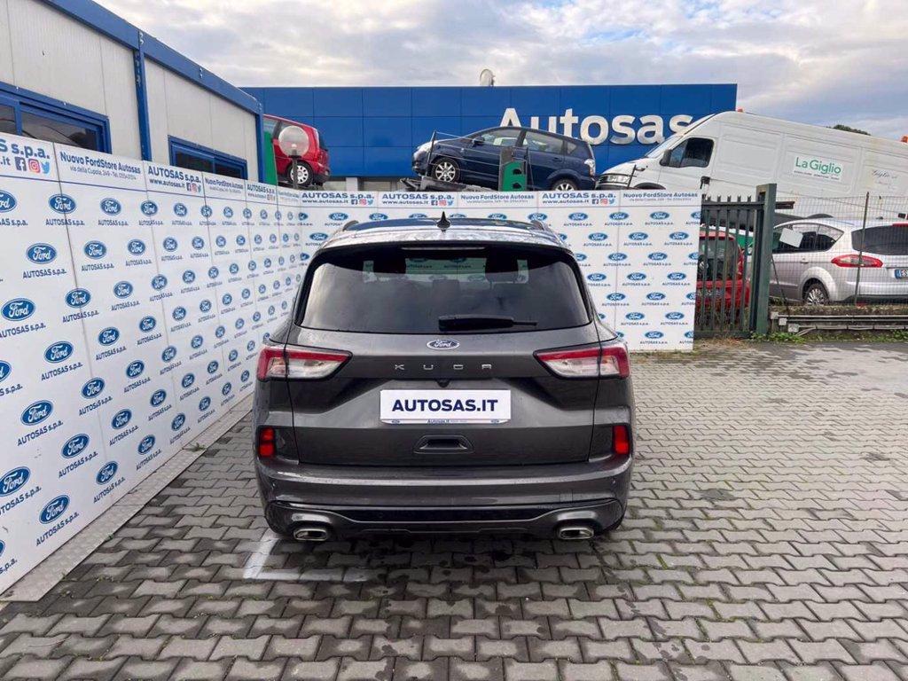 FORD Kuga 2.0 EcoBlue 120 CV aut. 2WD ST-Line X del 2023