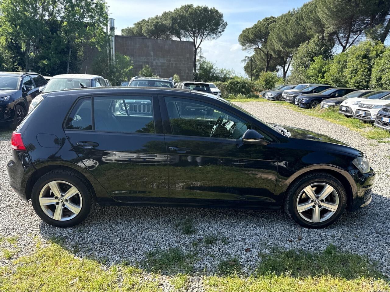 Volkswagen Golf 1.6 TDI 5p. Comfortline BlueMotion Technology
