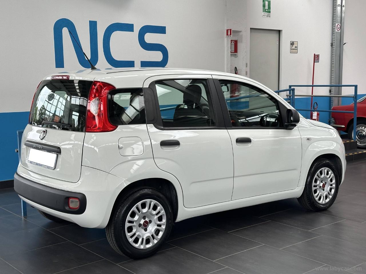 FIAT Panda 1.2 Easy OK PER NEOPATENTATI