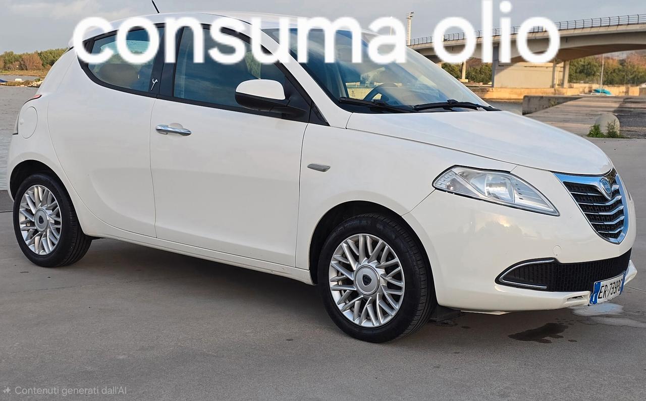 Lancia Ypsilon 1.3 MJT 16V 95 CV 5 porte S&S Platinum