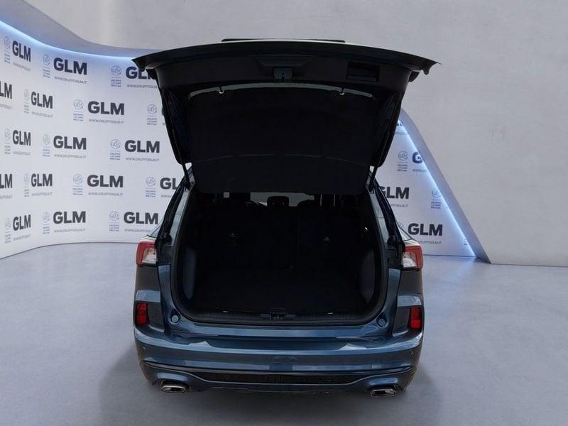 Ford Kuga Kuga 1.5 TDCI 120 CV S&S 2WD ST-Line