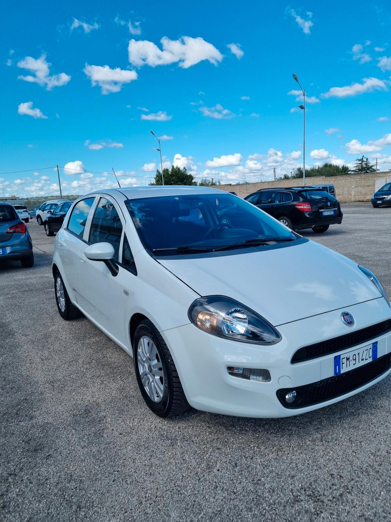 Fiat Punto 1.3 MJT II S&S 95 CV 5 porte Street