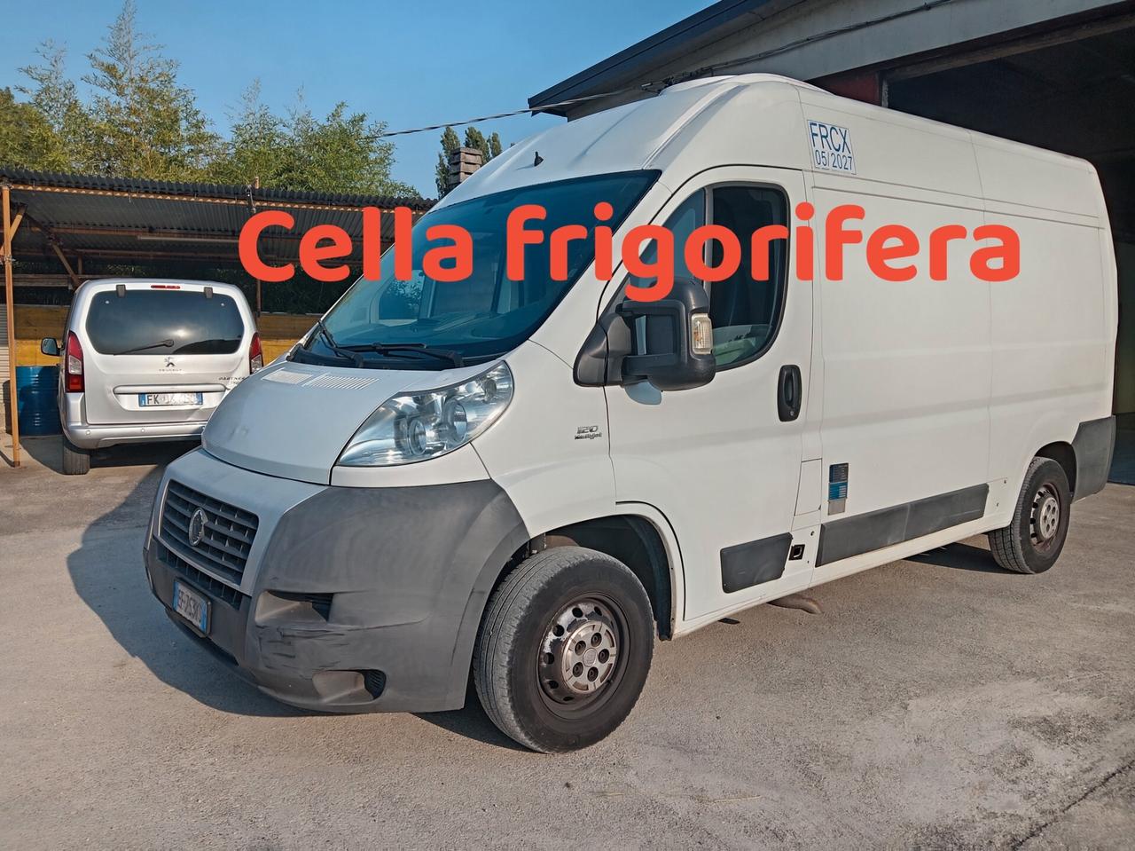 Fiat Ducato cella frigorifica