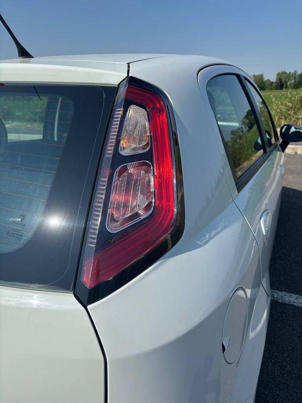 FIAT Punto NEOP. 1.4 8V 5 porte Natural Power Lounge