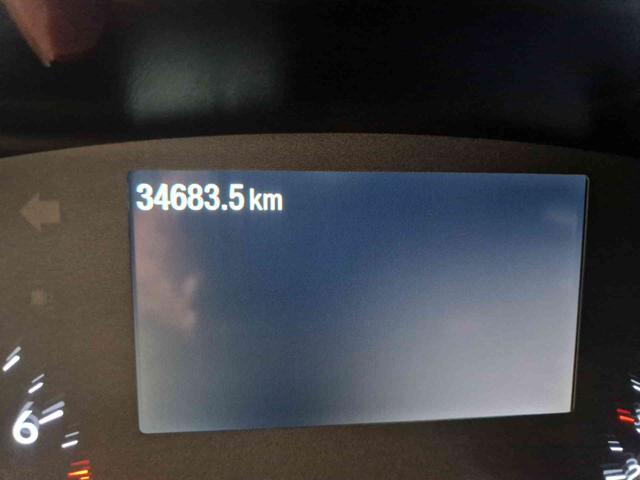 FORD Puma 1.0 EcoBoost Hybrid 125 CV Titanium