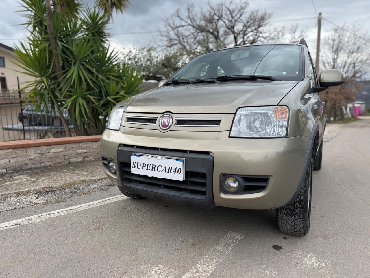 Fiat Panda 1.3 MJT 16V DPF 4x4 ELD