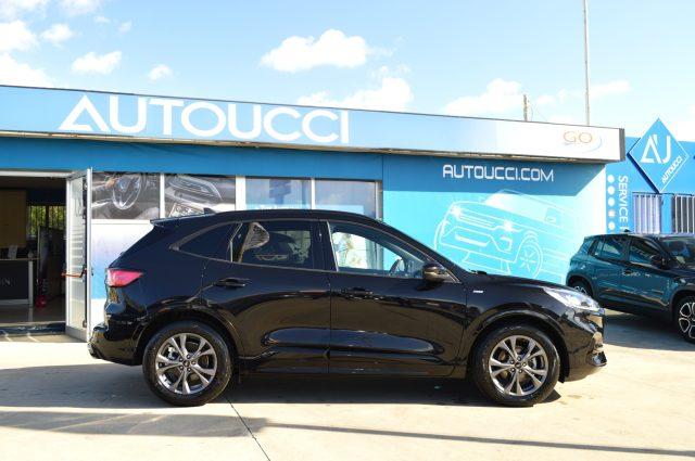 FORD Kuga 1.5 EcoBlue 120 CV 2WD ST-Line Automatica