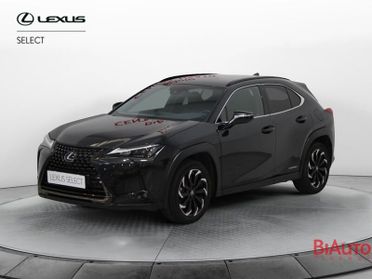 Lexus UX UX 250h 2.0 Midnight 4wd cvt