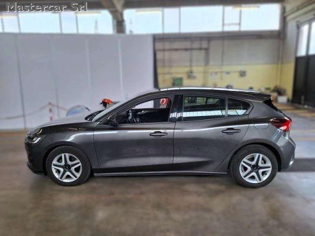 FORD Focus 1.5 ecoblue Business 120cv Autom N1 - GJ368JY