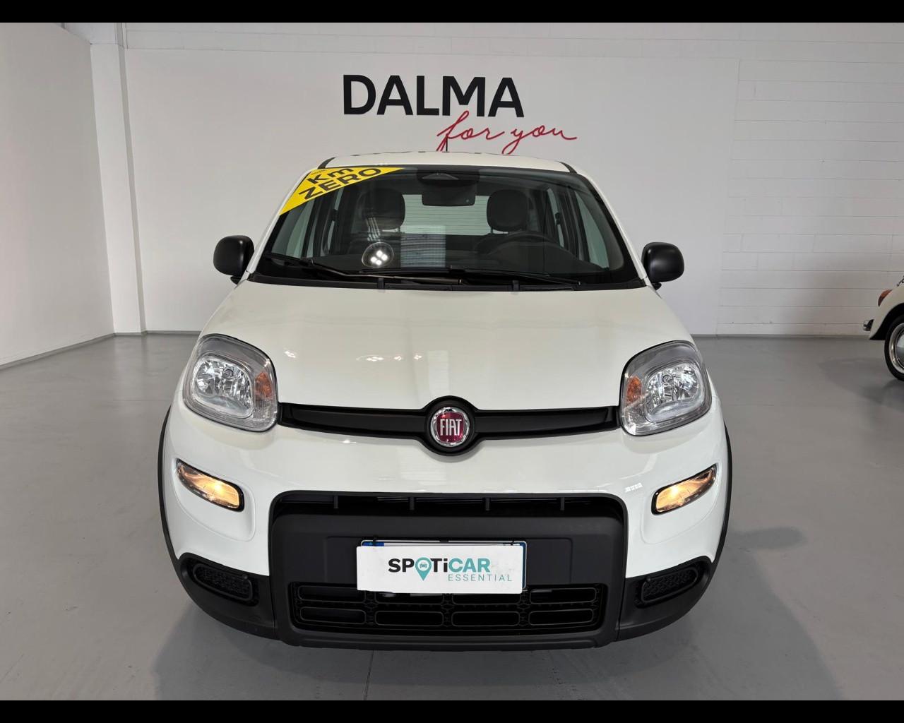 FIAT Pandina III 2024 - Pandina 1.0 firefly hybrid Pop s&s 70cv