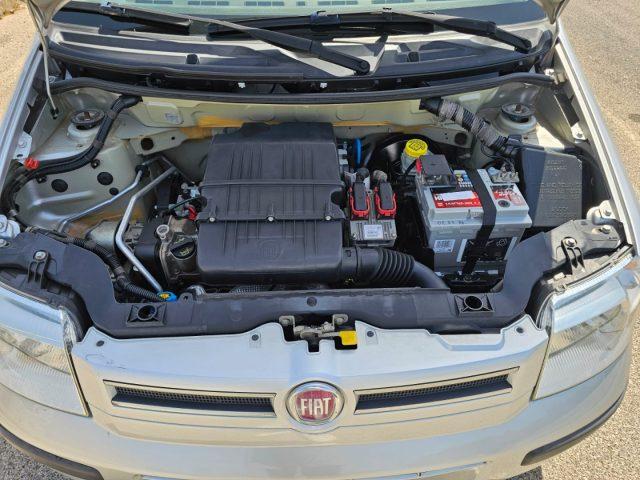 FIAT Panda 1.2 BENZINA AUTOVETTURA
