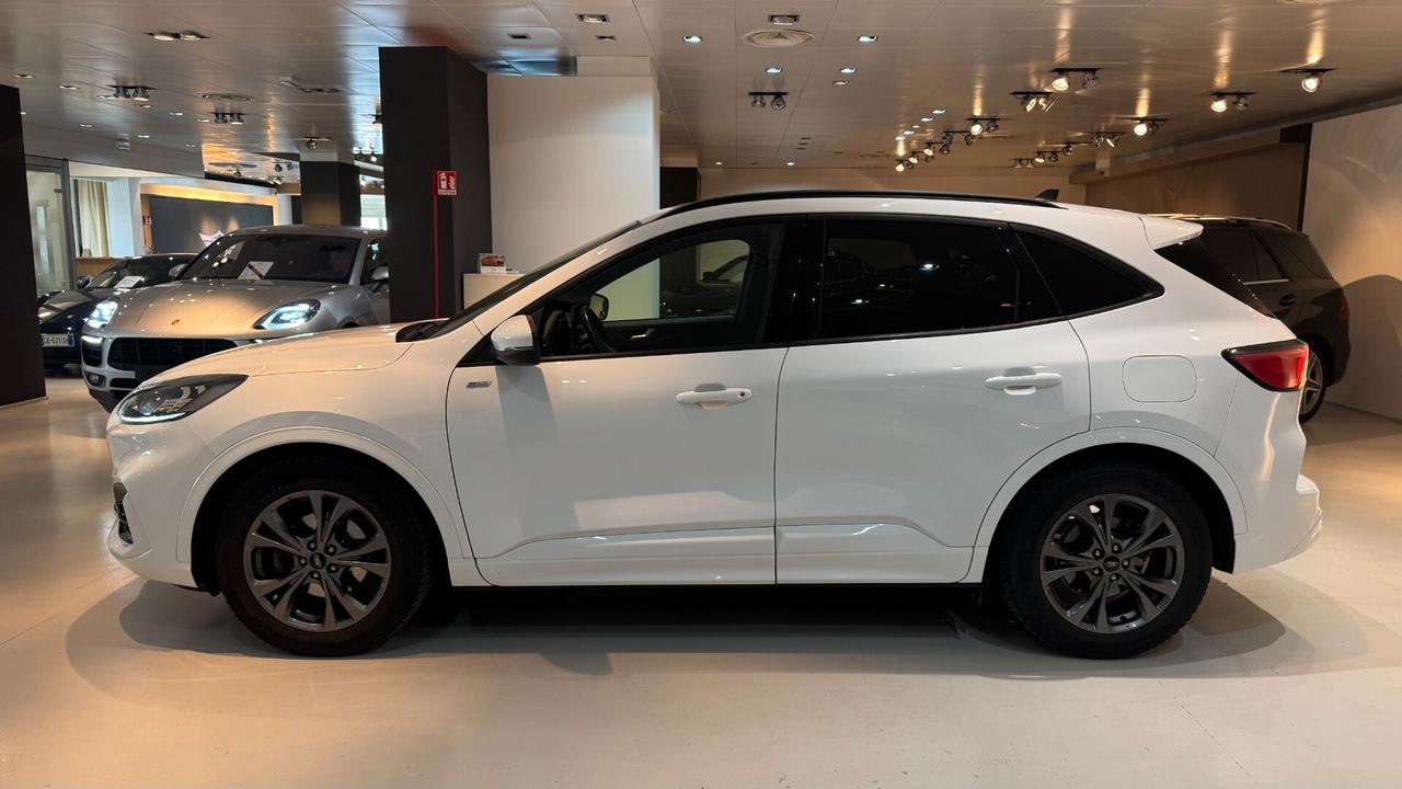 FORD KUGA 2.0 ECOBLUE 120CV ST.-LINE X AUTOMATICA 120CV - 2023