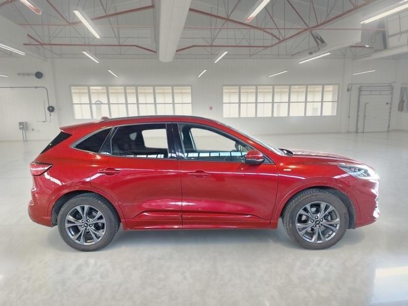 FORD KUGA 2.0 ECOBLUE 150 CV AWD ST-LINE X AUTO SUV