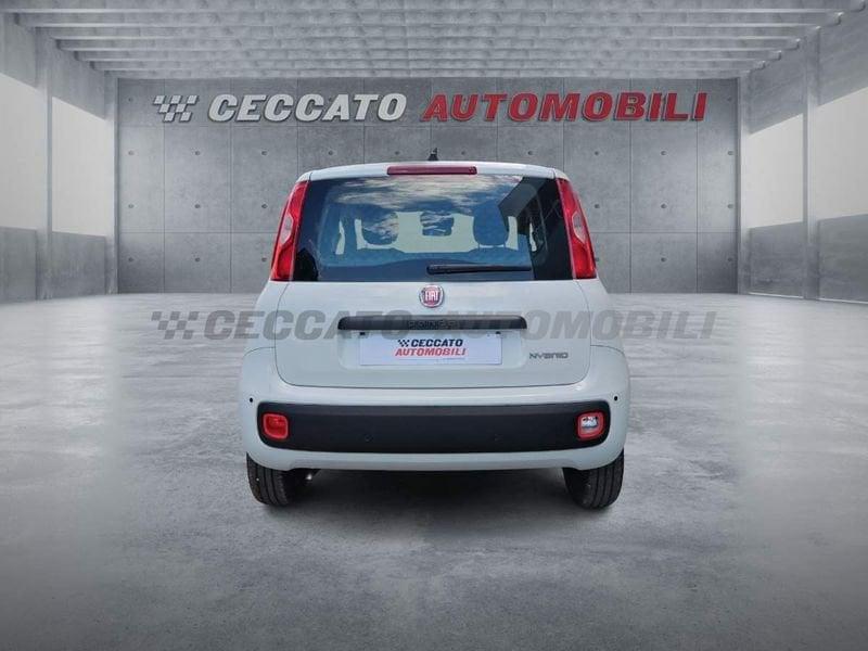 FIAT Panda Panda 1.0 70cv Hybrid Icon