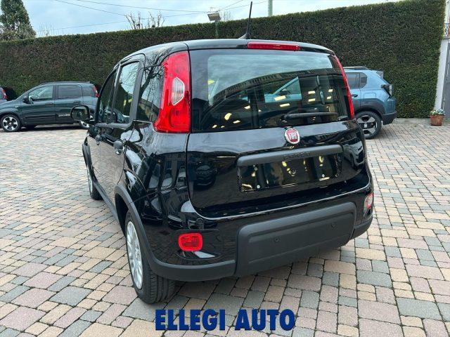 FIAT Panda PROMO FINANZ.PANDINA 1.0 Hybrid KM 0