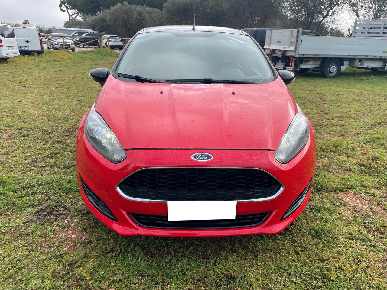 Ford Fiesta 1.0 Ecoboost 100 CV 5 porte Plus finanziabile