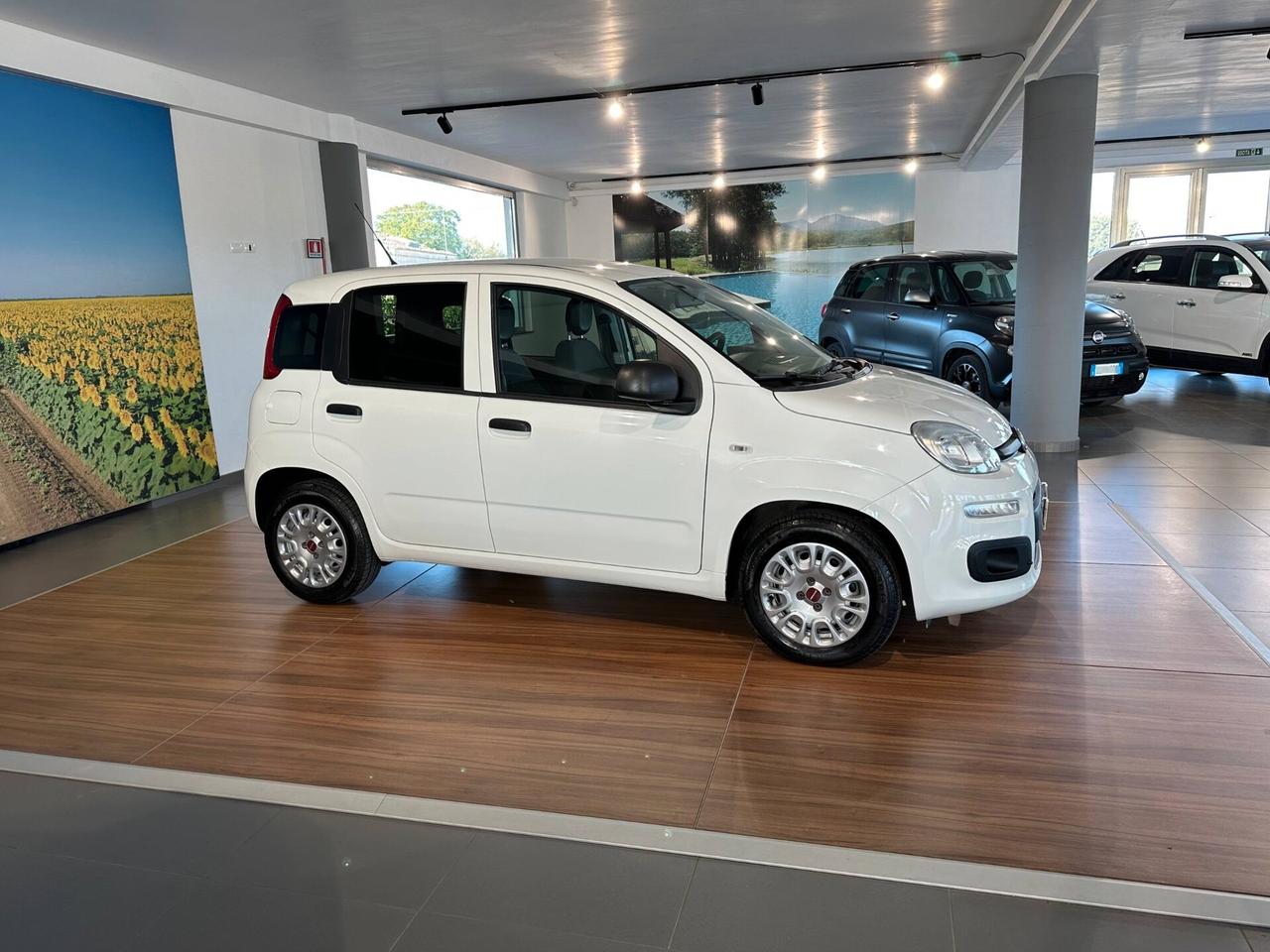Fiat Panda 1.2 EasyPower Easy