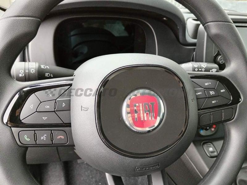 FIAT Panda Panda 1.0 firefly hybrid s&s 70cv