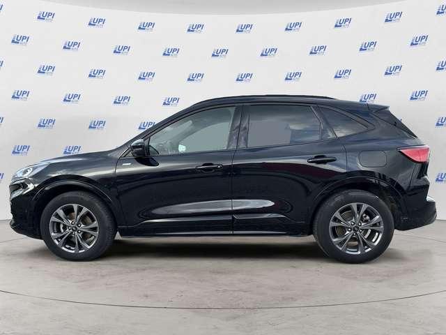 Ford Kuga 2.0 ecoblue ST-Line X awd 120cv auto