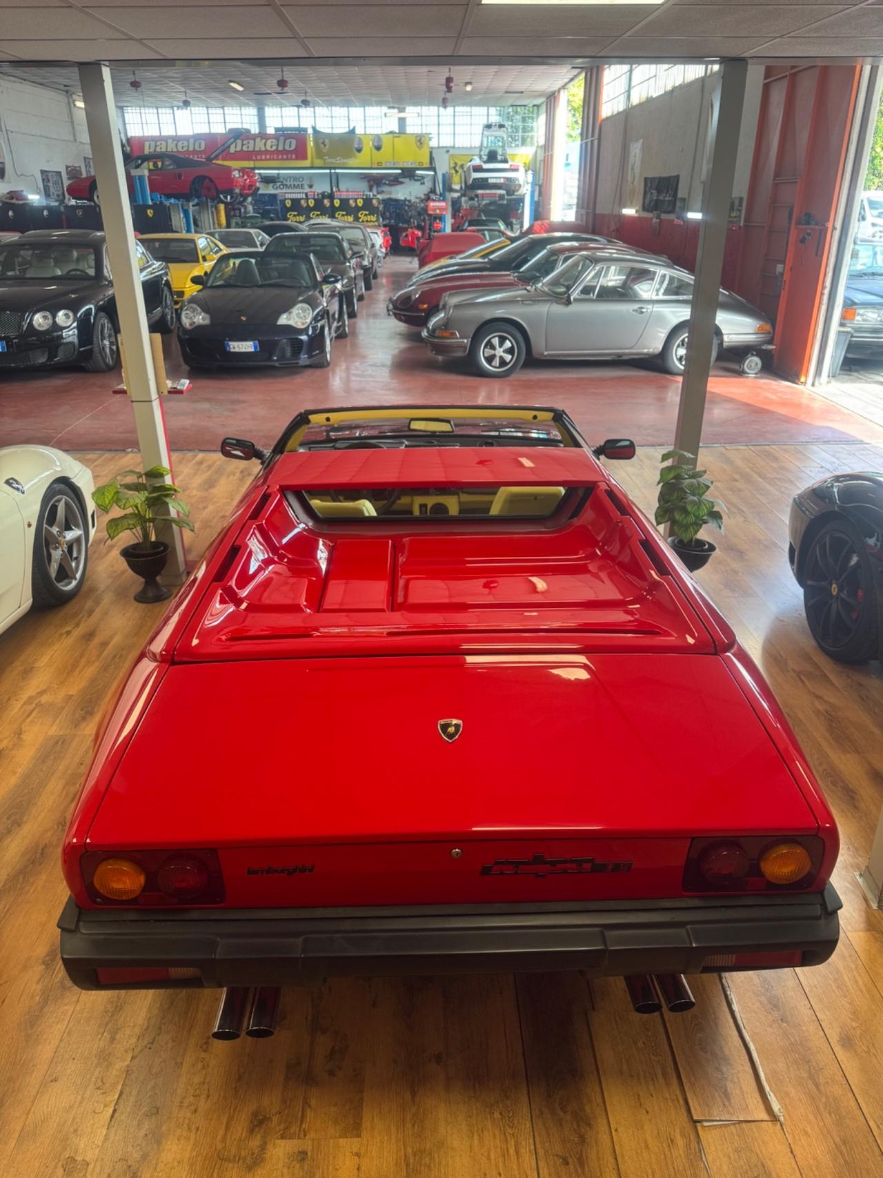 Lamborghini Jalpa 3500 RESTAURATA-PERMUTE