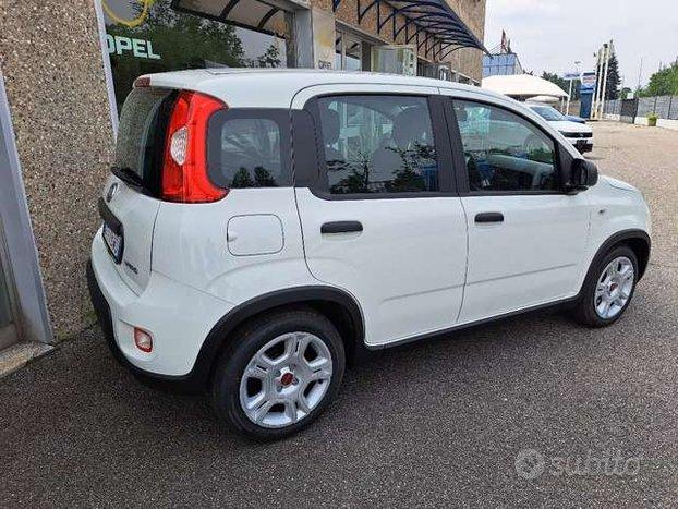 Fiat Panda Panda 1.0 firefly hybrid s