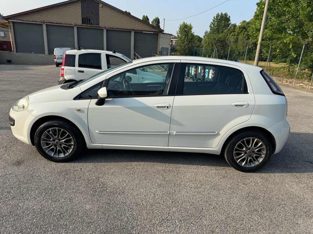 FIAT Punto Evo Stupenda. Bellissima 1.3Mjt 75 CV 5P S&S Dynamic