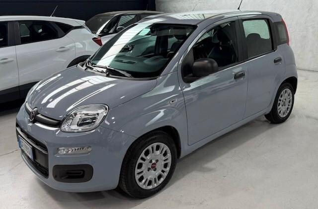Fiat Panda 5 posti Euro 6 Neopatentati