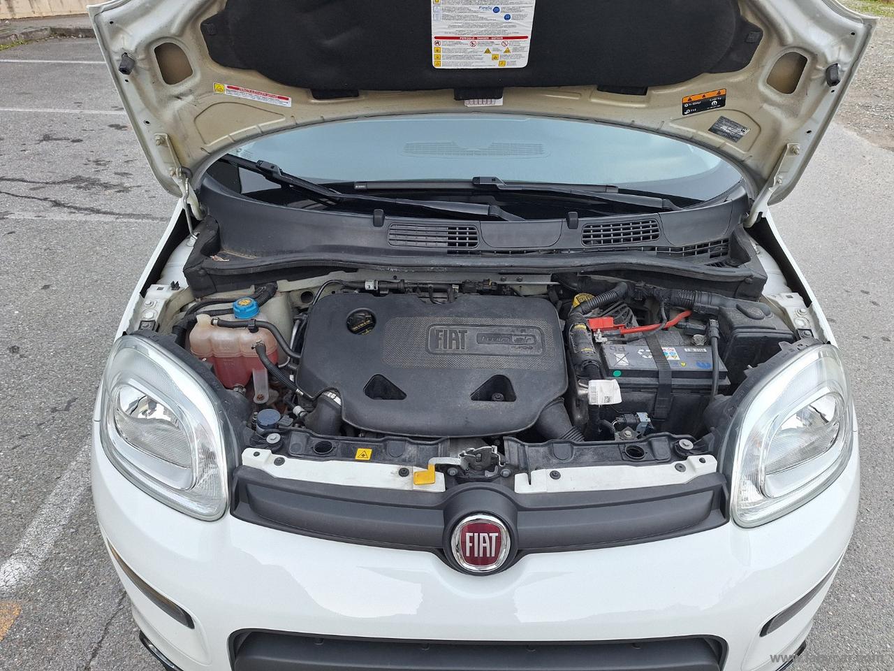 FIAT Panda 0.9 TwinAir Turbo S&S 4x4 OK NEOPATENTATI