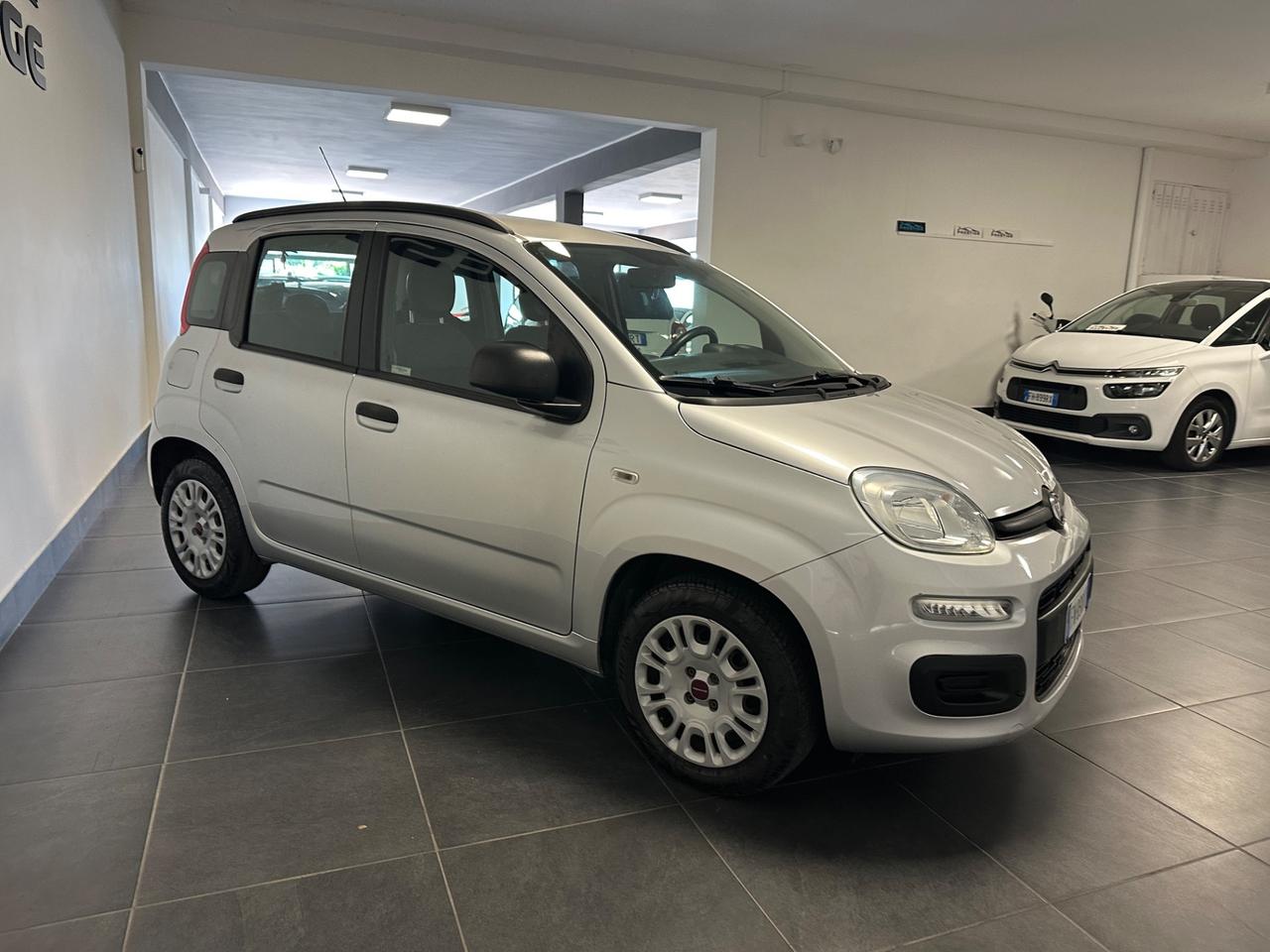 FIAT PANDA 1.2 BENZINA 69CV LOUNGE PRONTA CONSEGNA GARANZIA