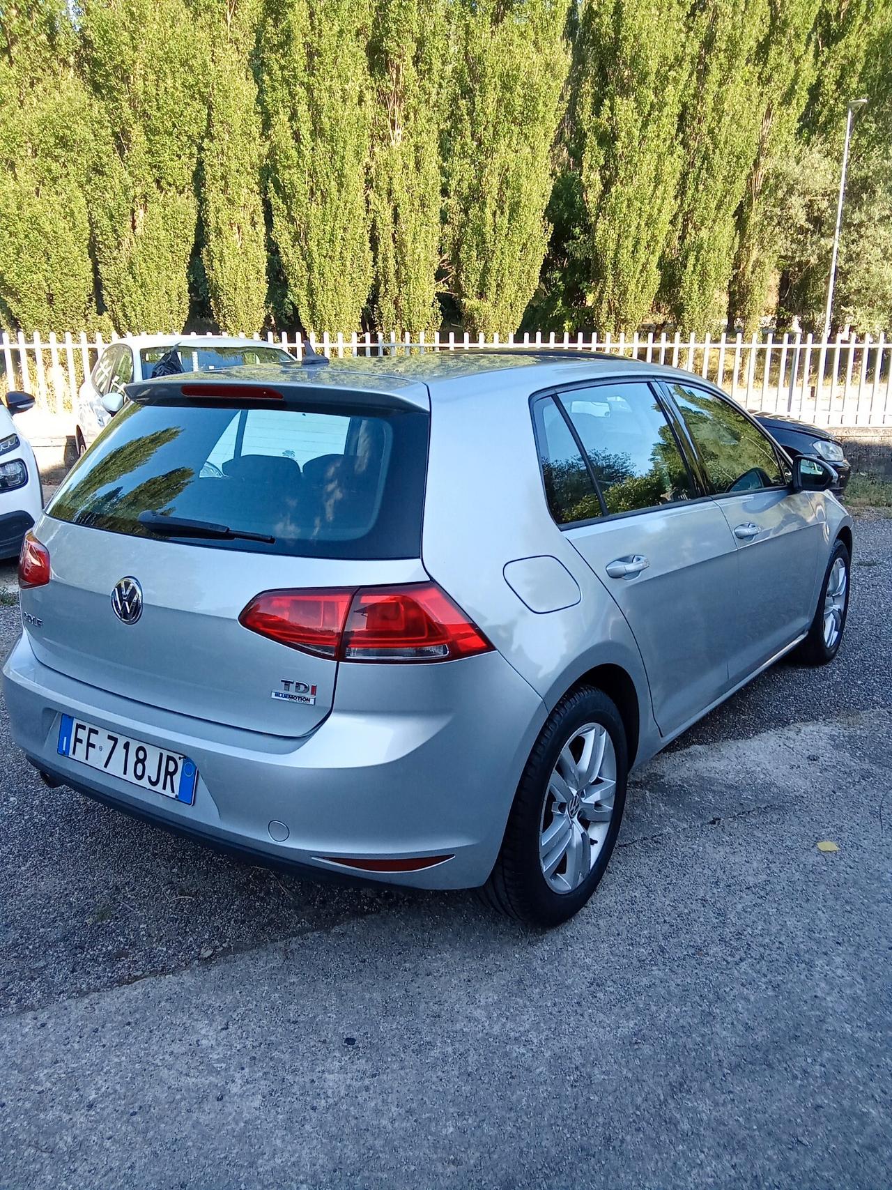 Volkswagen Golf 1.6 TDI 110 CV 5p. 11/015