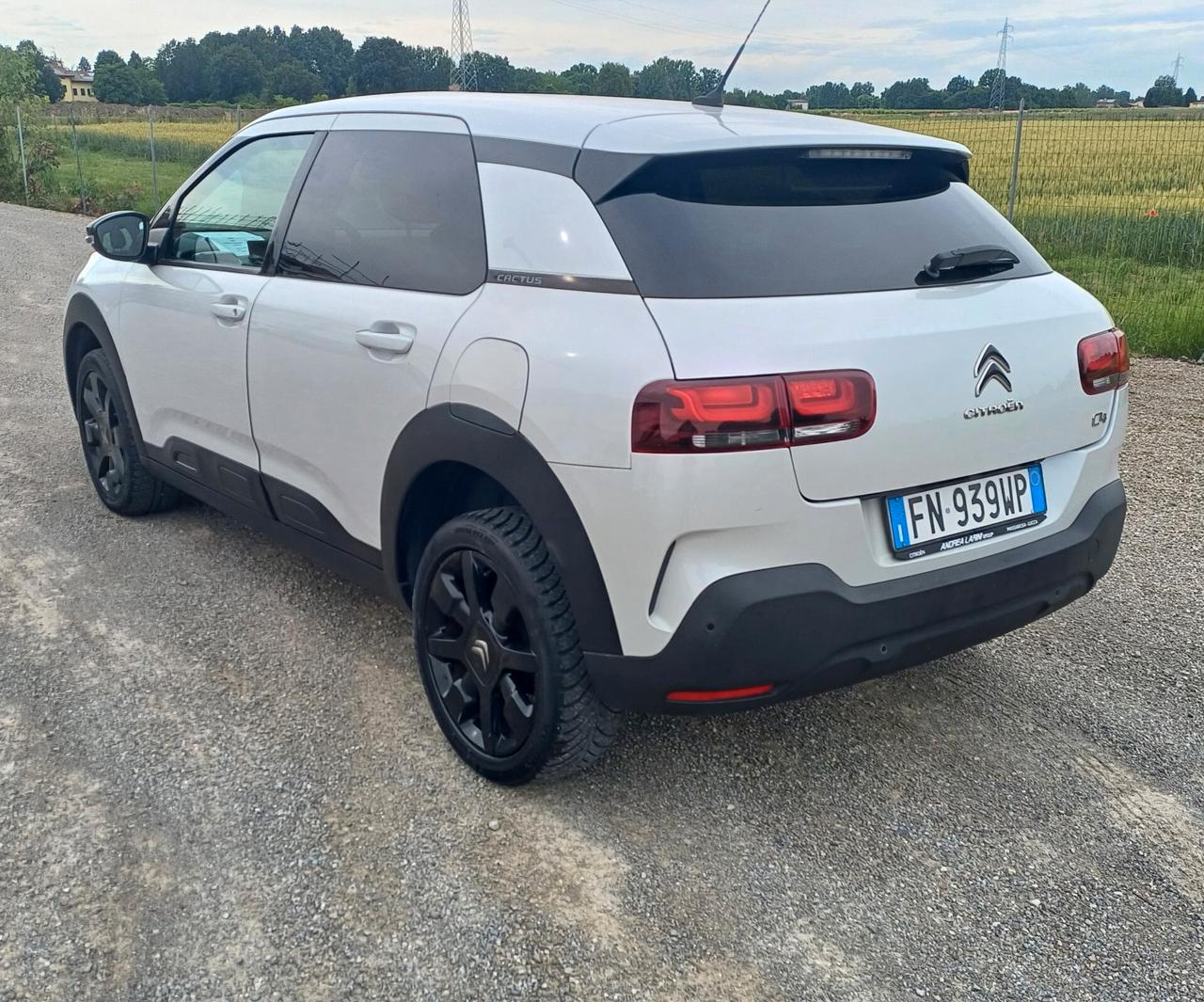 Citroen C4 Cactus BlueHDi 100 S&S Shine