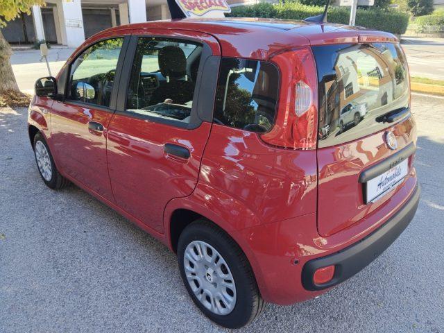 FIAT Panda 1.0 FireFly HYBRID KM 0 SENSORI POST PREZZO REALE