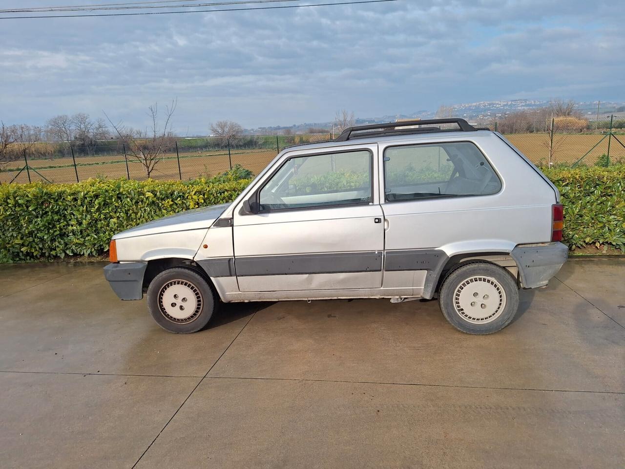 Fiat Panda 1100 i.e. cat Young