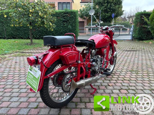 MOTO GUZZI TS 250 AIRONEGT