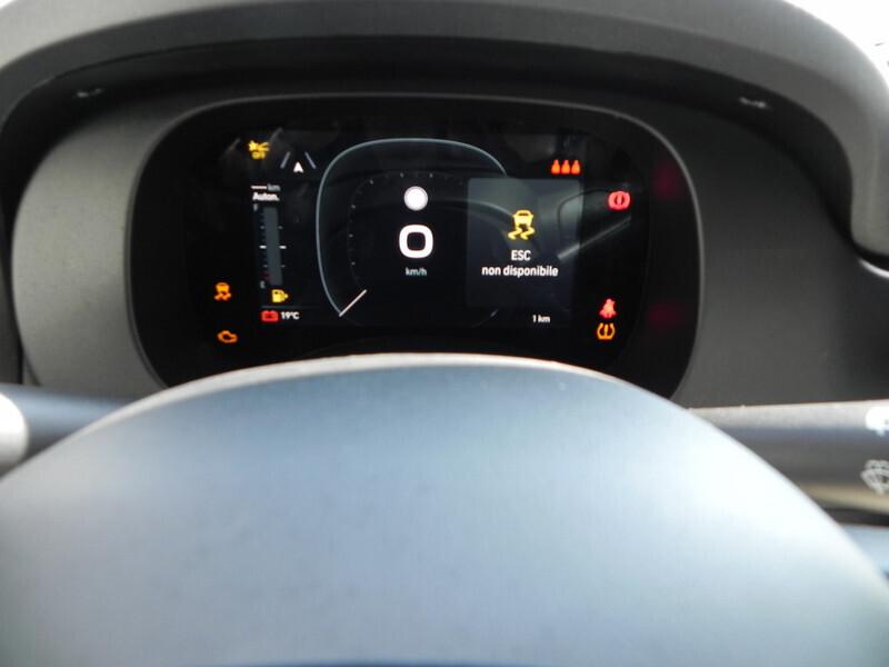 Fiat Panda 1.0 FireFly S&S Hybrid Icon