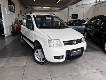 Fiat Panda 1.2 Climbing Natural Power