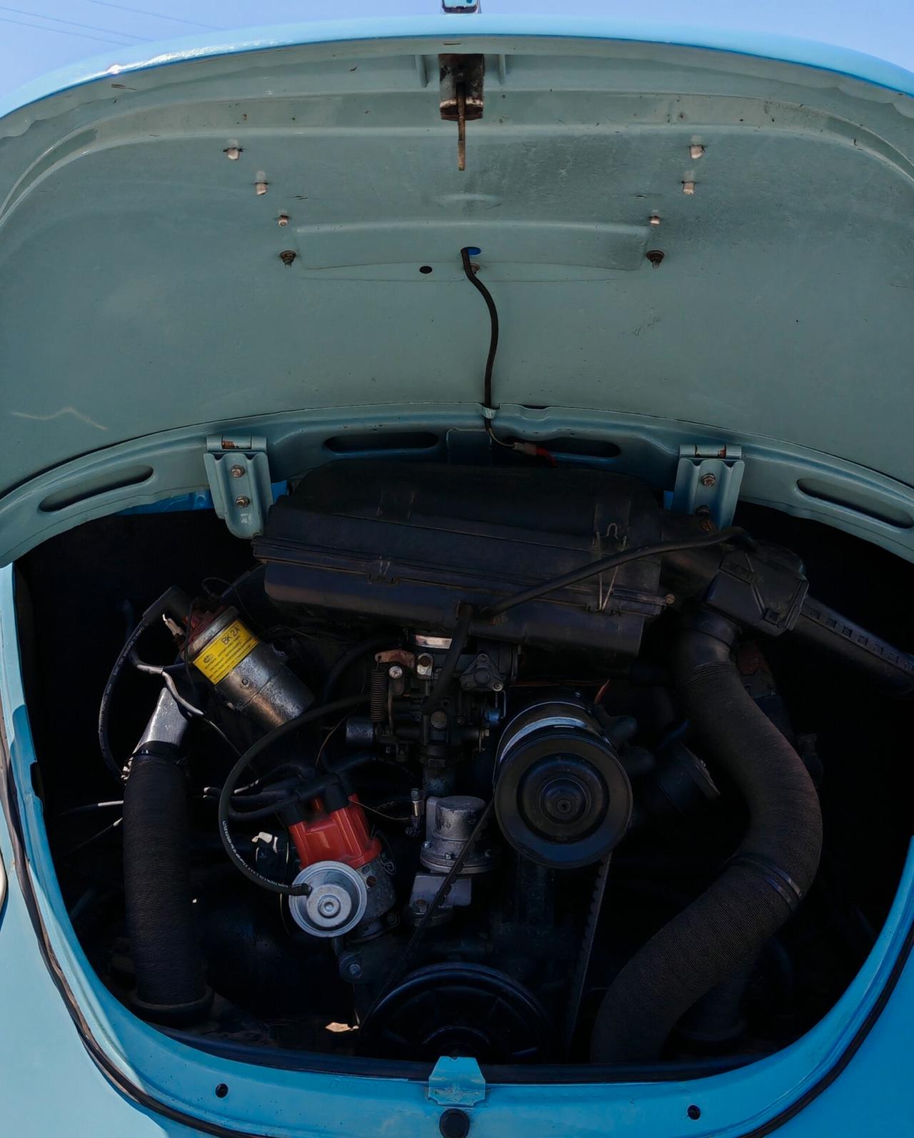 Volkswagen Maggiolino Mexico (STUPENDO)