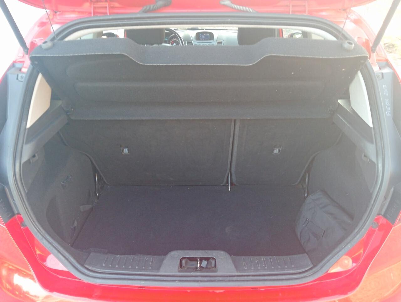 Ford Fiesta 1.4 3 porte Bz.- GPL Black & White Edition