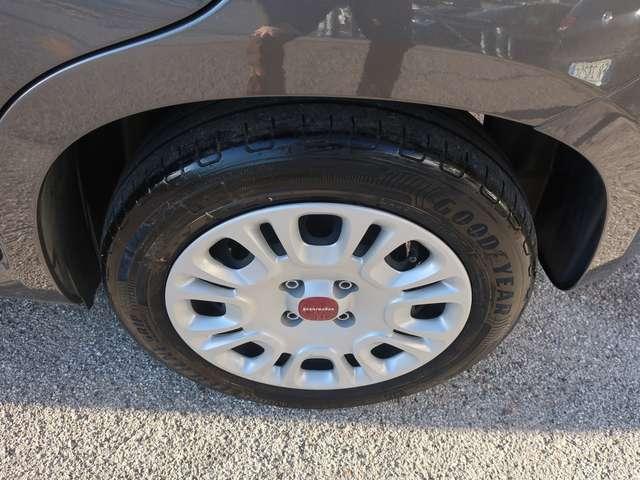 Fiat Panda Panda III 2021 1.0 firefly hybrid s&s