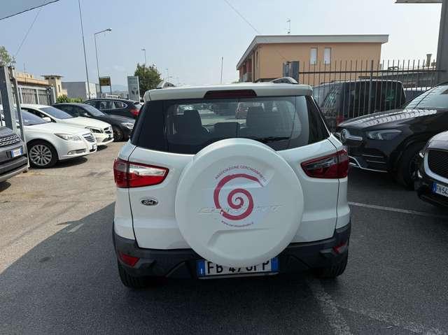 Ford EcoSport EcoSport 1.5 tdci Plus 95cv E6