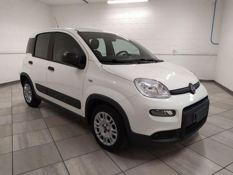 FIAT Panda van 1.0 hybrid Street 70cv 4p.ti serie 4 E6d