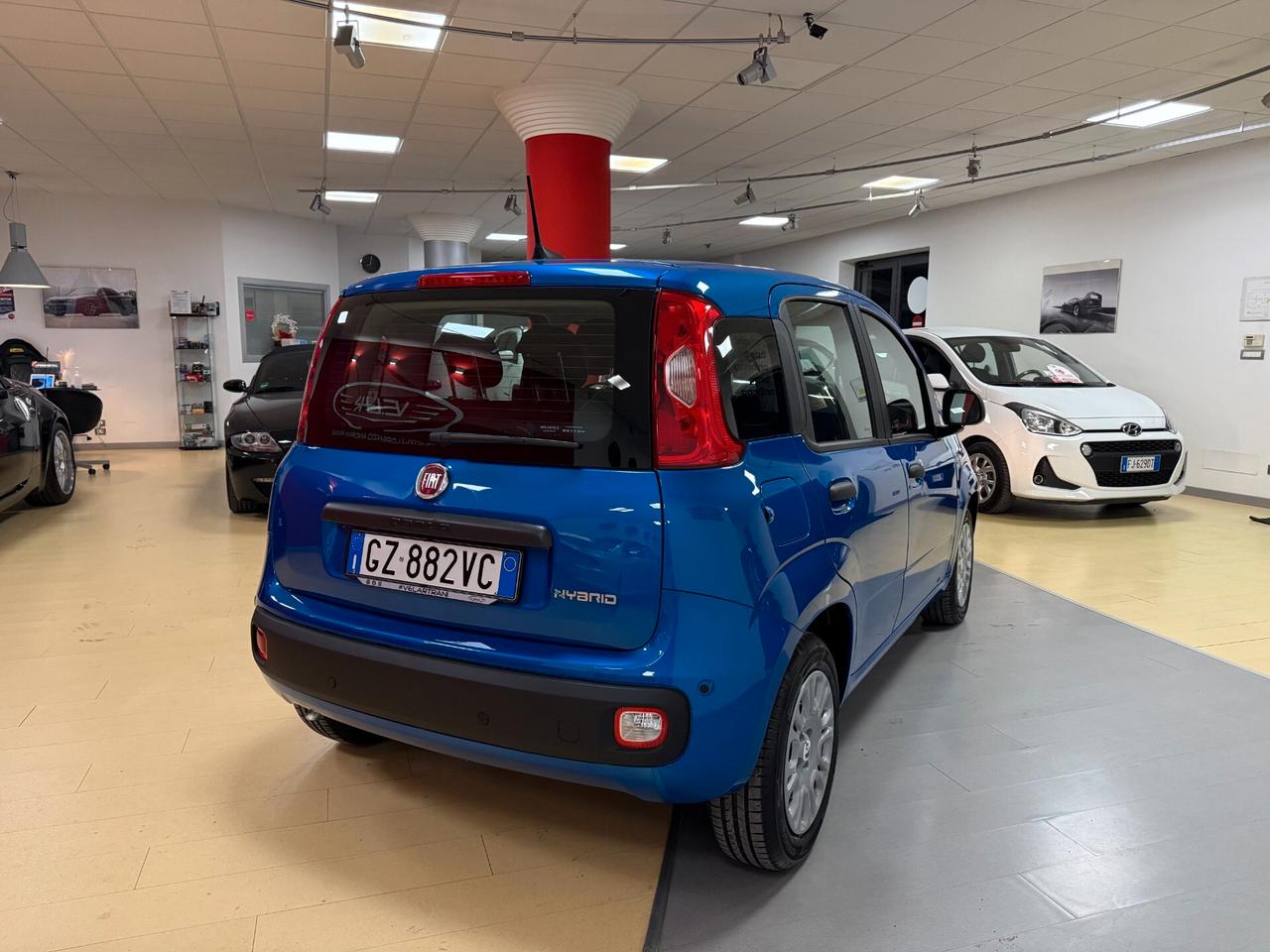 Fiat Panda 1.0 hybrid Pandina - PARI AL NUOVO