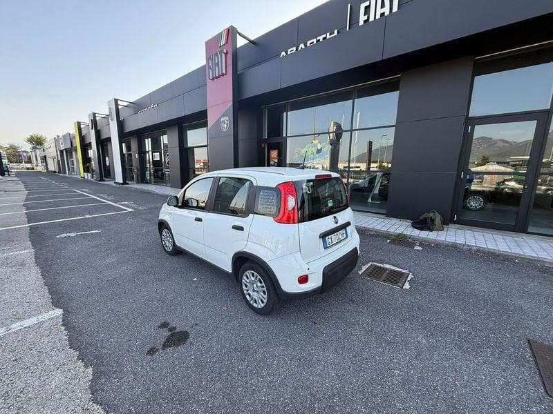 FIAT Panda NEW 1.0 70cv Hybrid PANDA