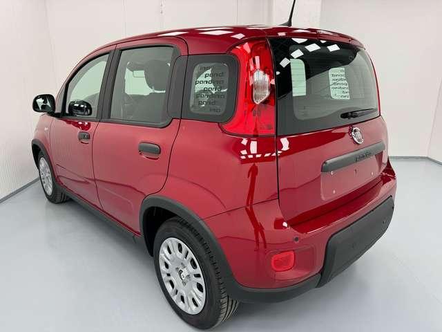 Fiat Panda *PANDINA* 1.0 HYBRID 69CV*CRUISE+SENSORI*ONLYPROMO