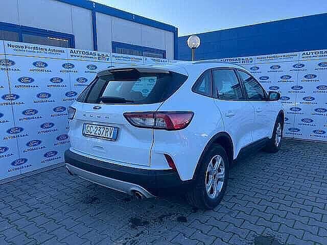 Ford Kuga 1.5 EcoBlue 120 CV 2WD Titanium Business