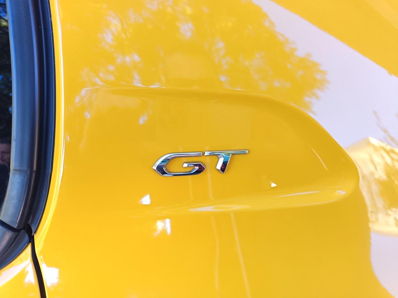 Peugeot 208 BlueHDi 100 Stop&Start 5 porte GT Pack