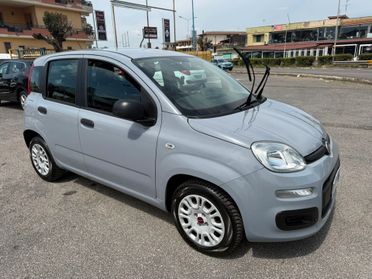 FIAT PANDA EASY 1.2BENZINA 69CV SOLO87MILAKM EURO6B