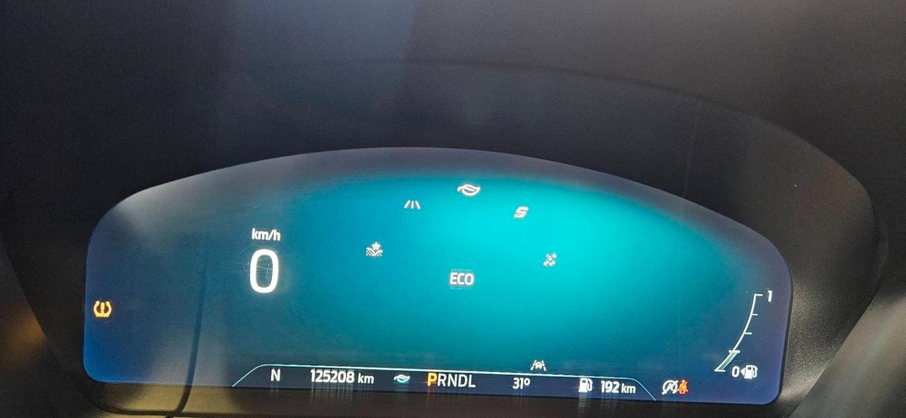 Ford Kuga 2.0 EcoBlue 150 CV aut. AWD Tetto panor. Aprib- Vern. Perla