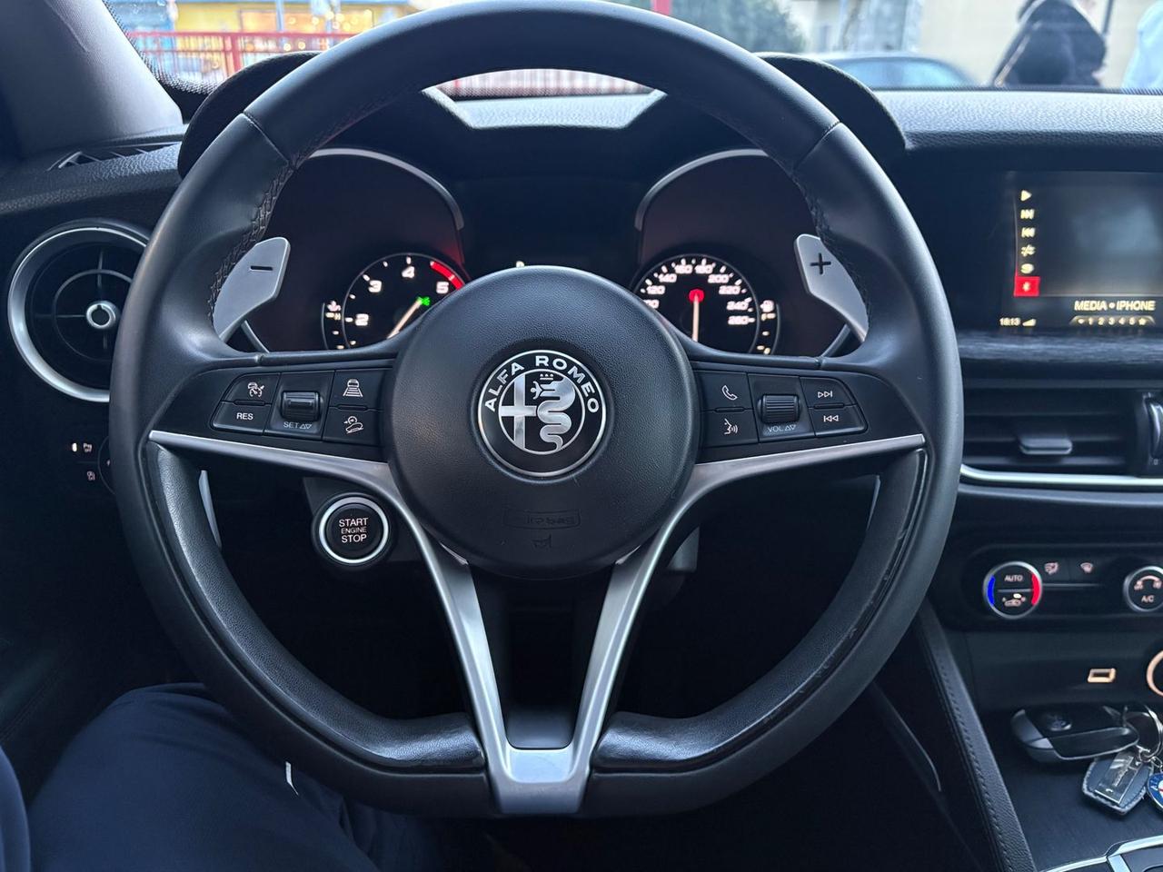 Alfa Romeo Stelvio 2.2 Turbodiesel 190 CV #9769