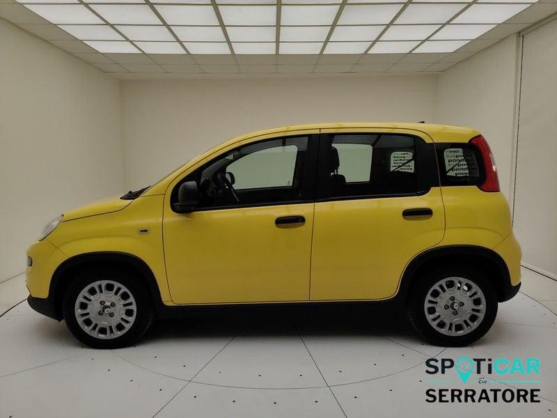 FIAT Pandina Panda III Panda 1.0 firefly hybrid s&s 70cv